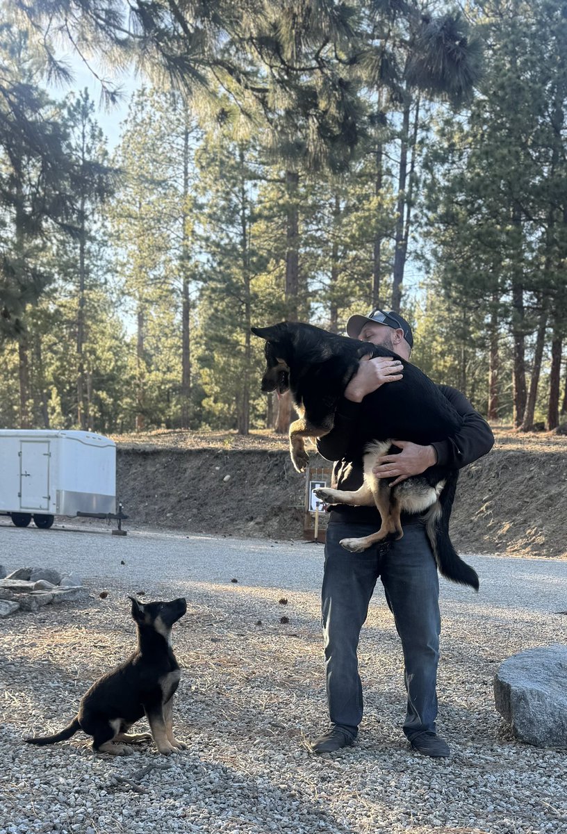 Keto Brainz Nootropics tweet media