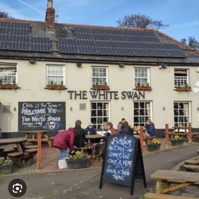 userds5050 tweet media