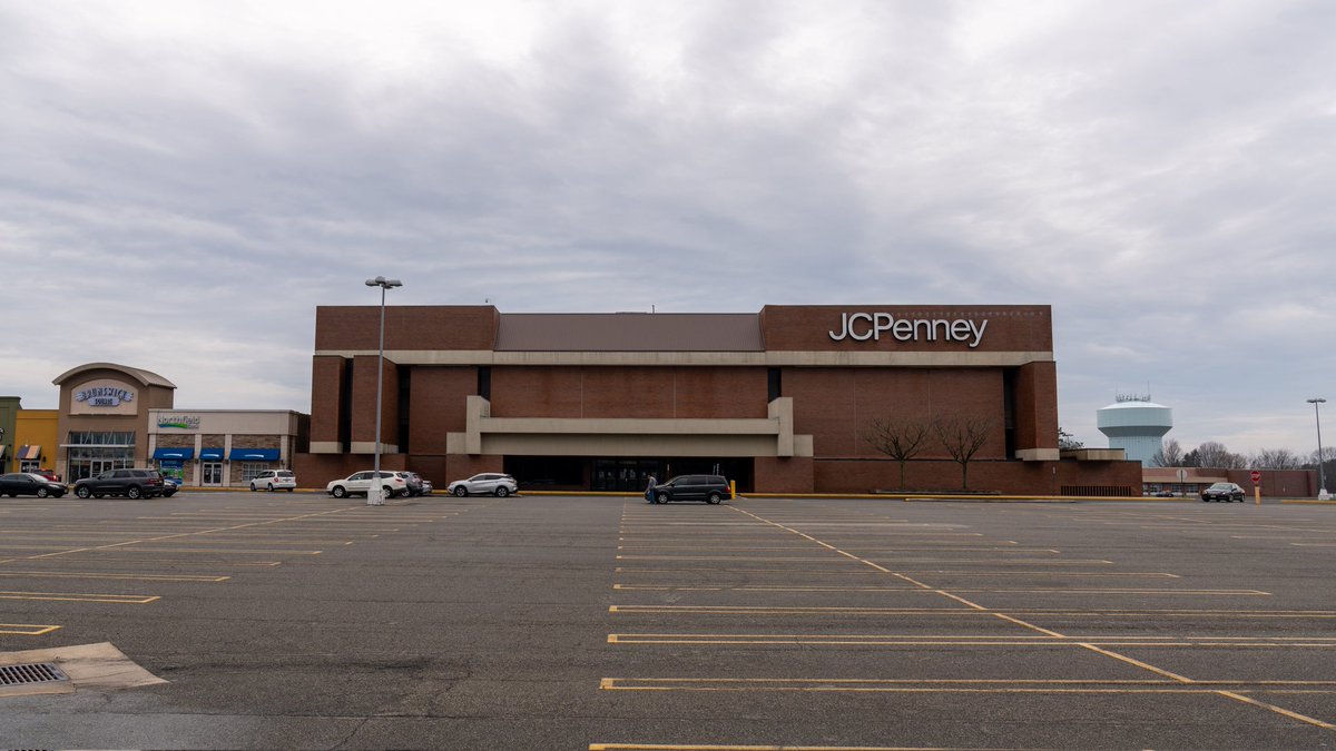 Dingle 🇵🇸 tweet media