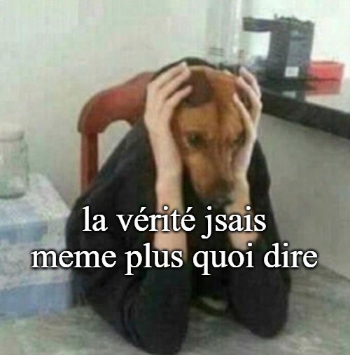 nayrusprince's tweet photo. Mon psy quand je lui ai raconté mes derniers mois ptdr autant choqué que moi https://t.co/ljL9mPvk95