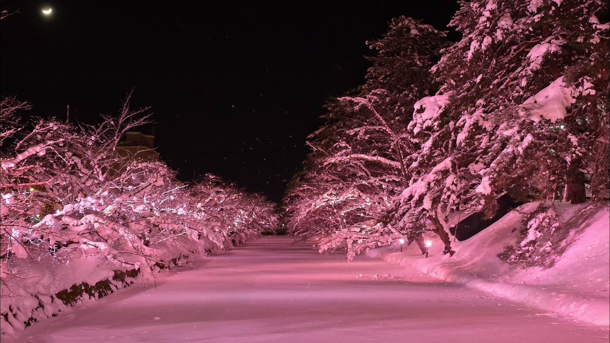 dorakou's tweet photo. 先週行った青森
豪雪の中、灯りに癒された旅でした https://t.co/nNAzLlfWgY