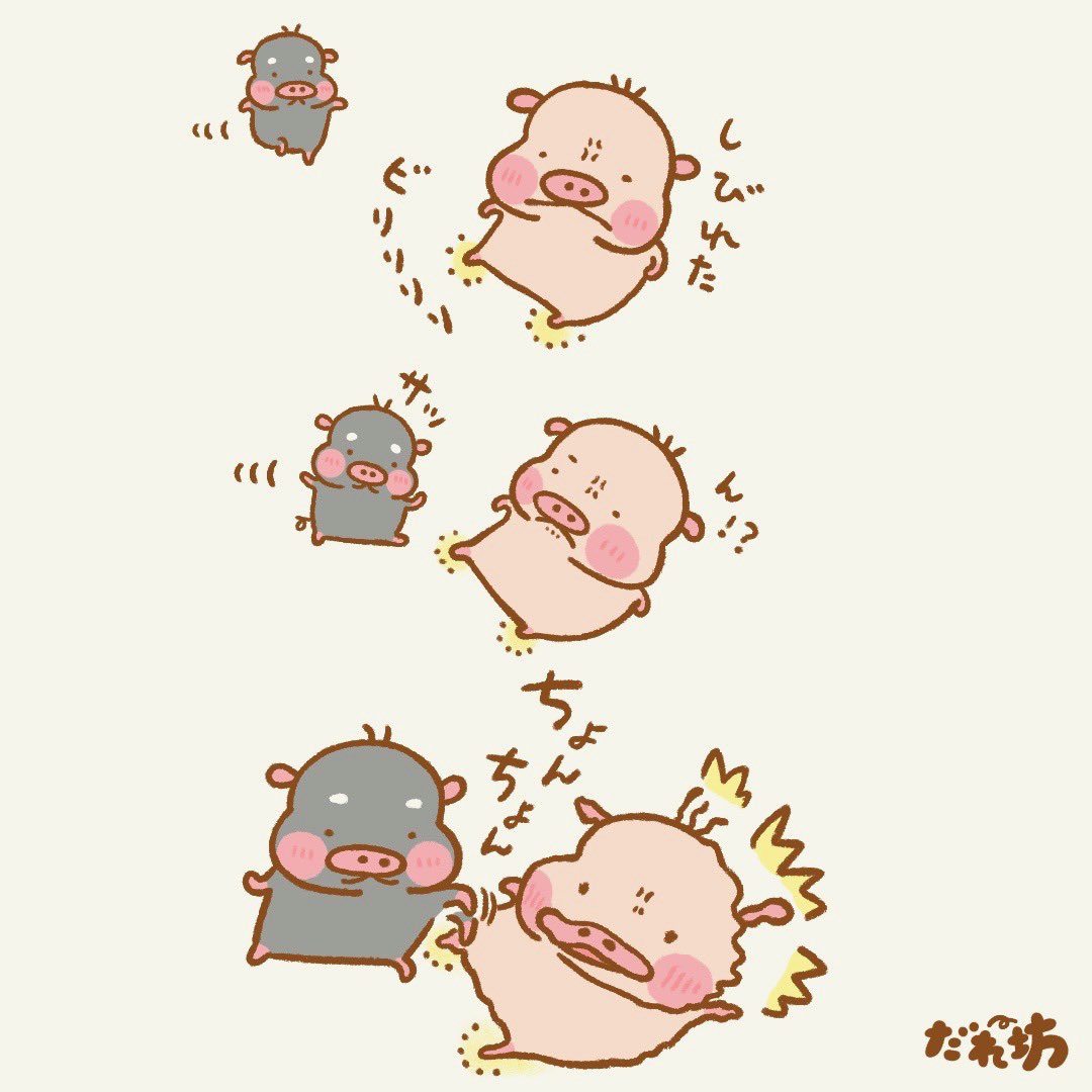 あんこ⭐️🐖 (@xuu1v8is0325) / Posts / X