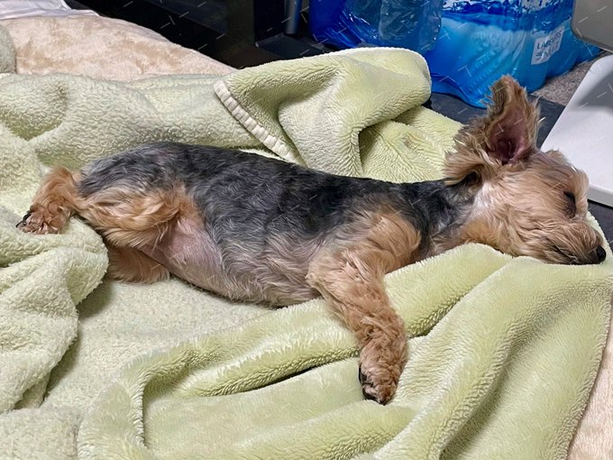 横から見ても可愛い 