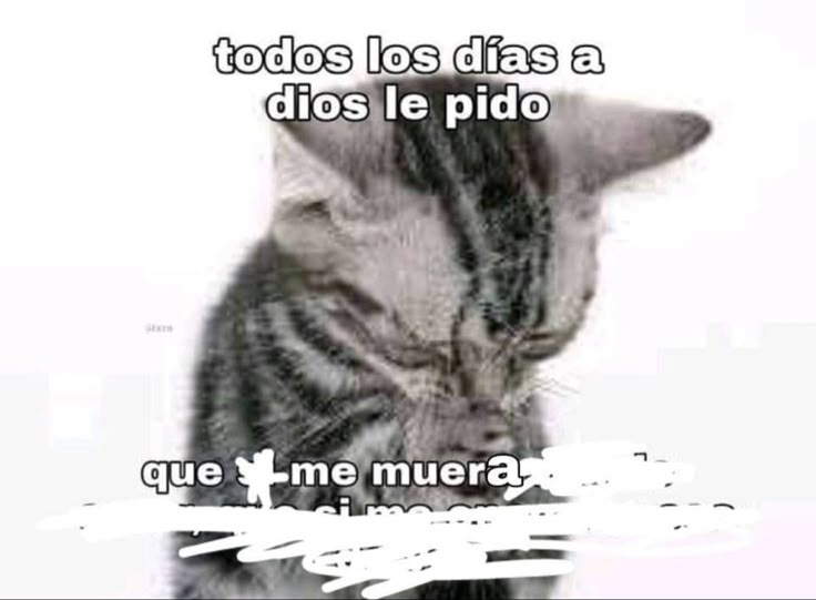 𓂃˖˳·˖ ִֶָ ⋆𝓫𝓮𝓴𝓪𝓪⋆ ִֶָ˖·˳˖𓂃 ִֶָ (@b3k4thh) on Twitter photo 