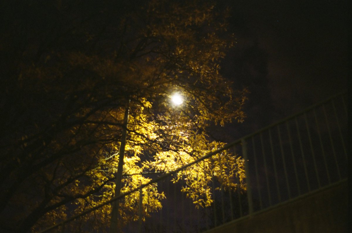 SimulationRot (@simulationrot) on Twitter photo 