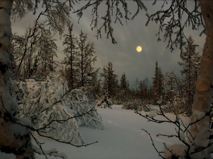 𝕰𝖑𝖊𝖒𝖒𝖎𝖗𝖊 tweet media