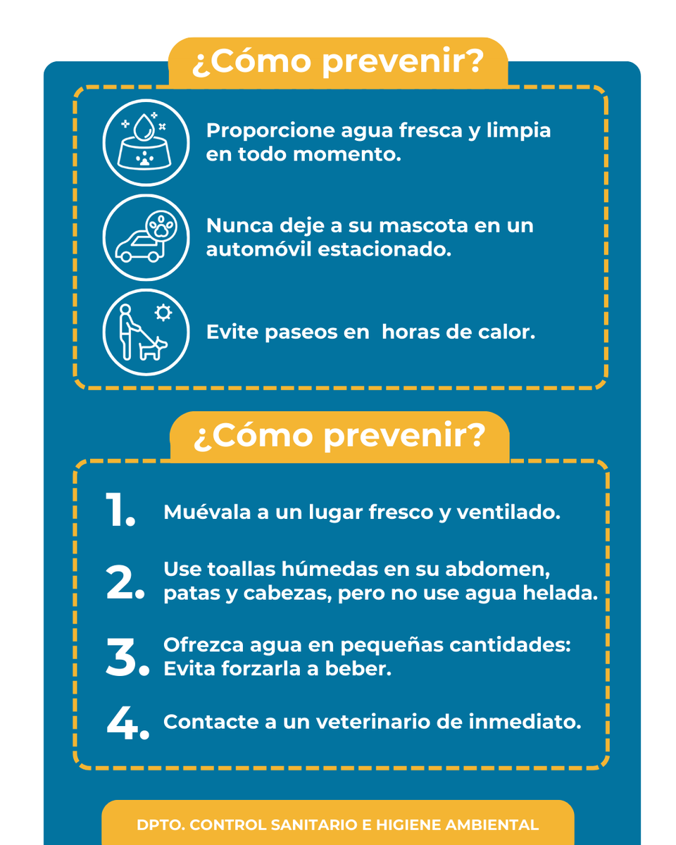 La Dirección de Salud de Carabineros en conjunto con los profesionales de la Dirección de Sanidad, entregan las siguientes recomendaciones para pasar unas buenas vacaciones y activar el cuidado personal y familiar.
La Dirección de Salud de Carabineros. #TeCuida