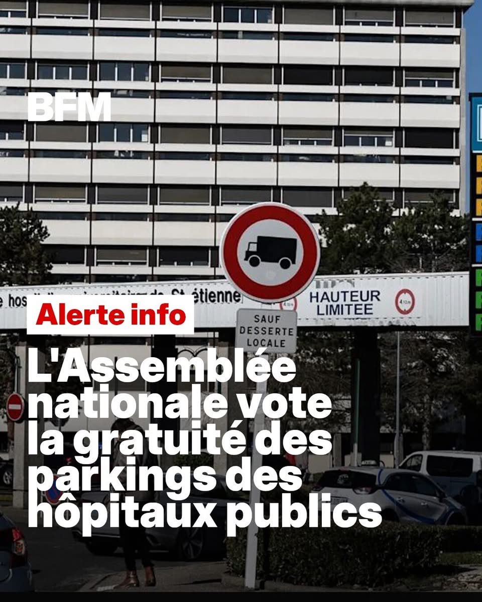 CnathDreamer 🦈 tweet media