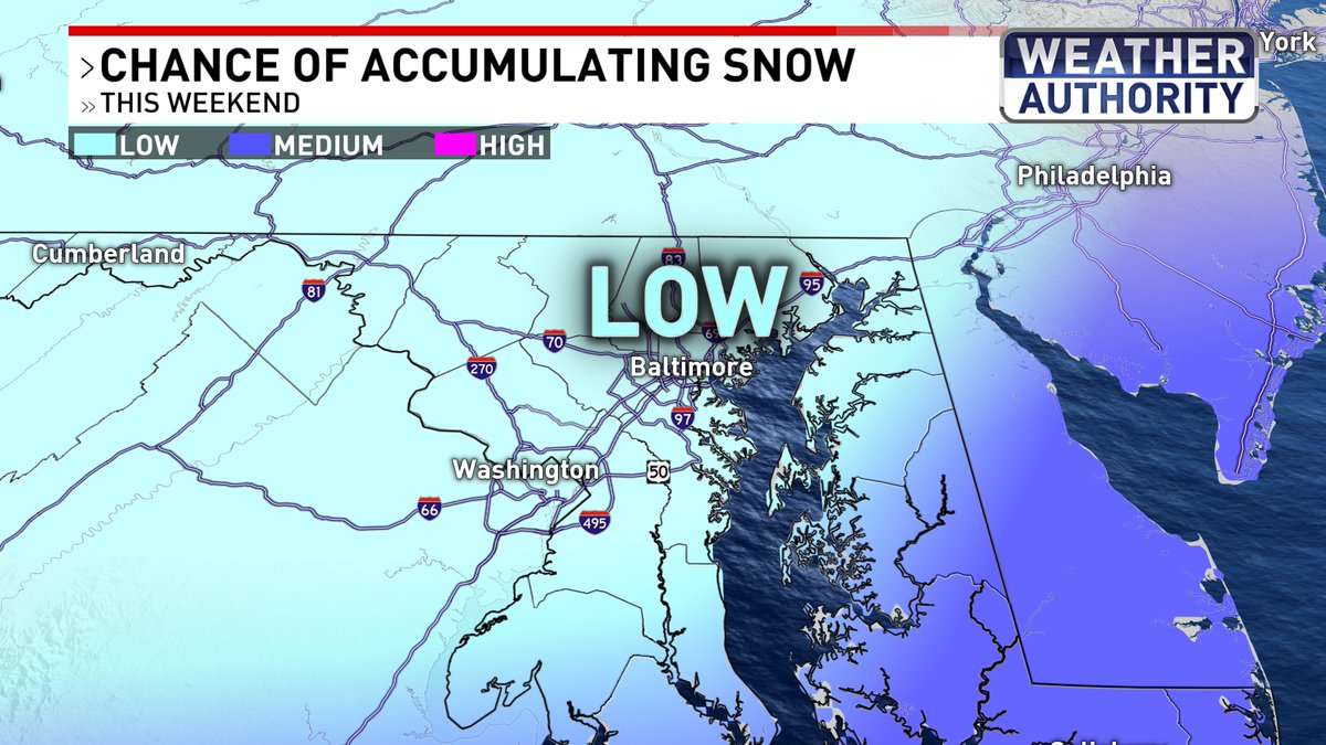 Amy Aaronson tweet media