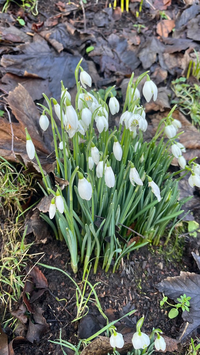 𝘑𝘪𝘭𝘭𝘪𝘢𝘯 tweet media