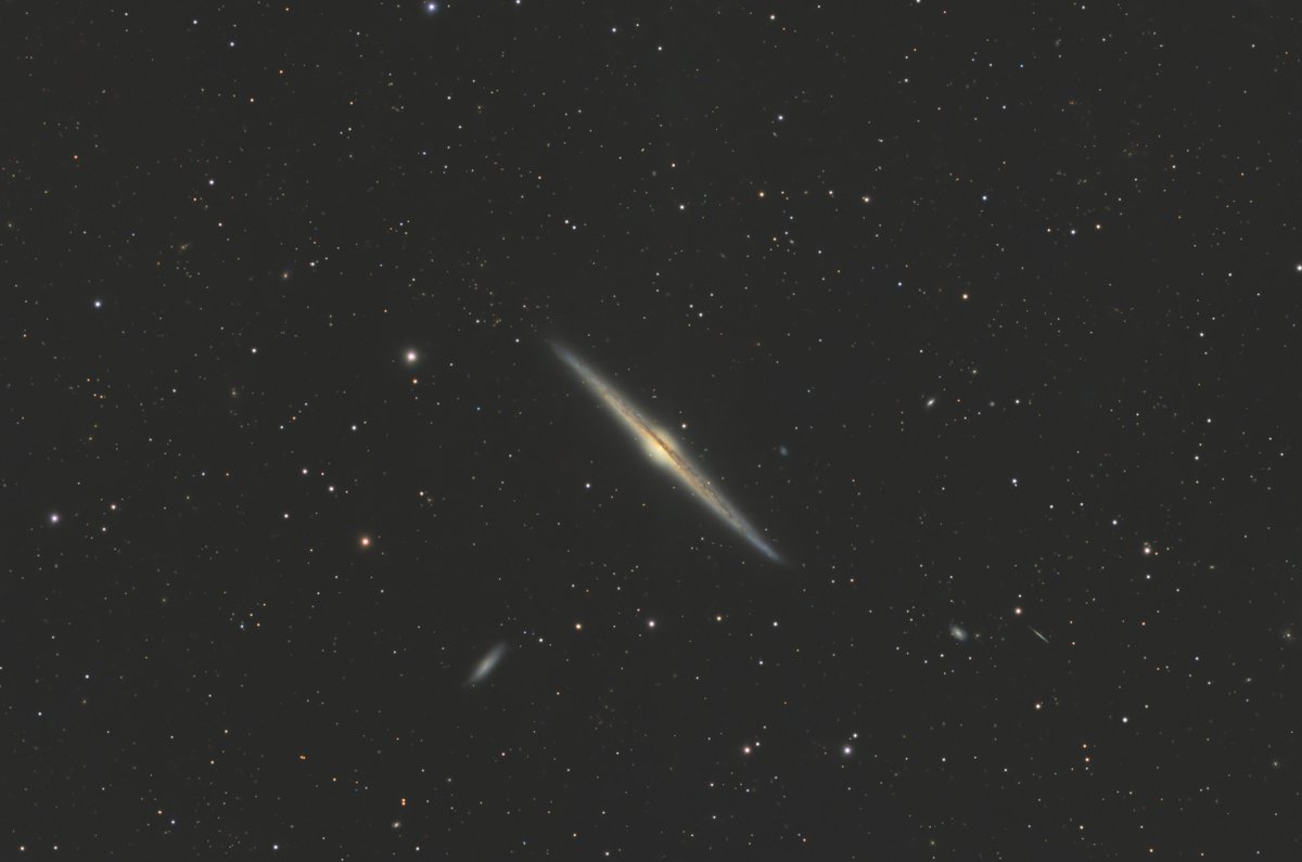 NGC4565。前はモノクロで撮ったけど今度はカラーカメラ。カラーも全然悪くないですね。（中央付近クロップ）
FF130Apo,ASI2400MCP‐30℃,20×180s