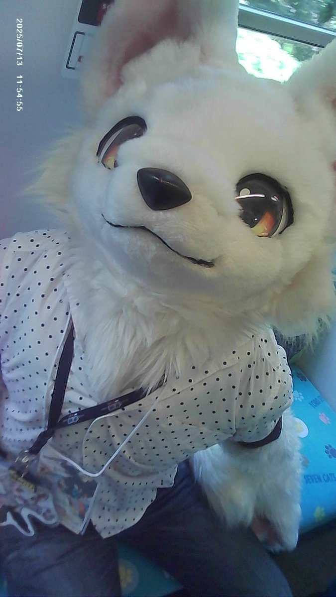 ゼルエル＆ロータス tweet media