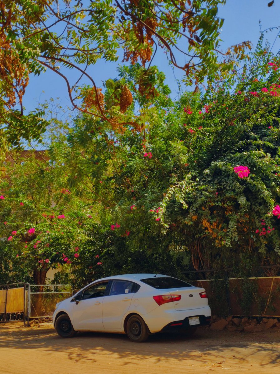 7vmada's tweet image. Dump