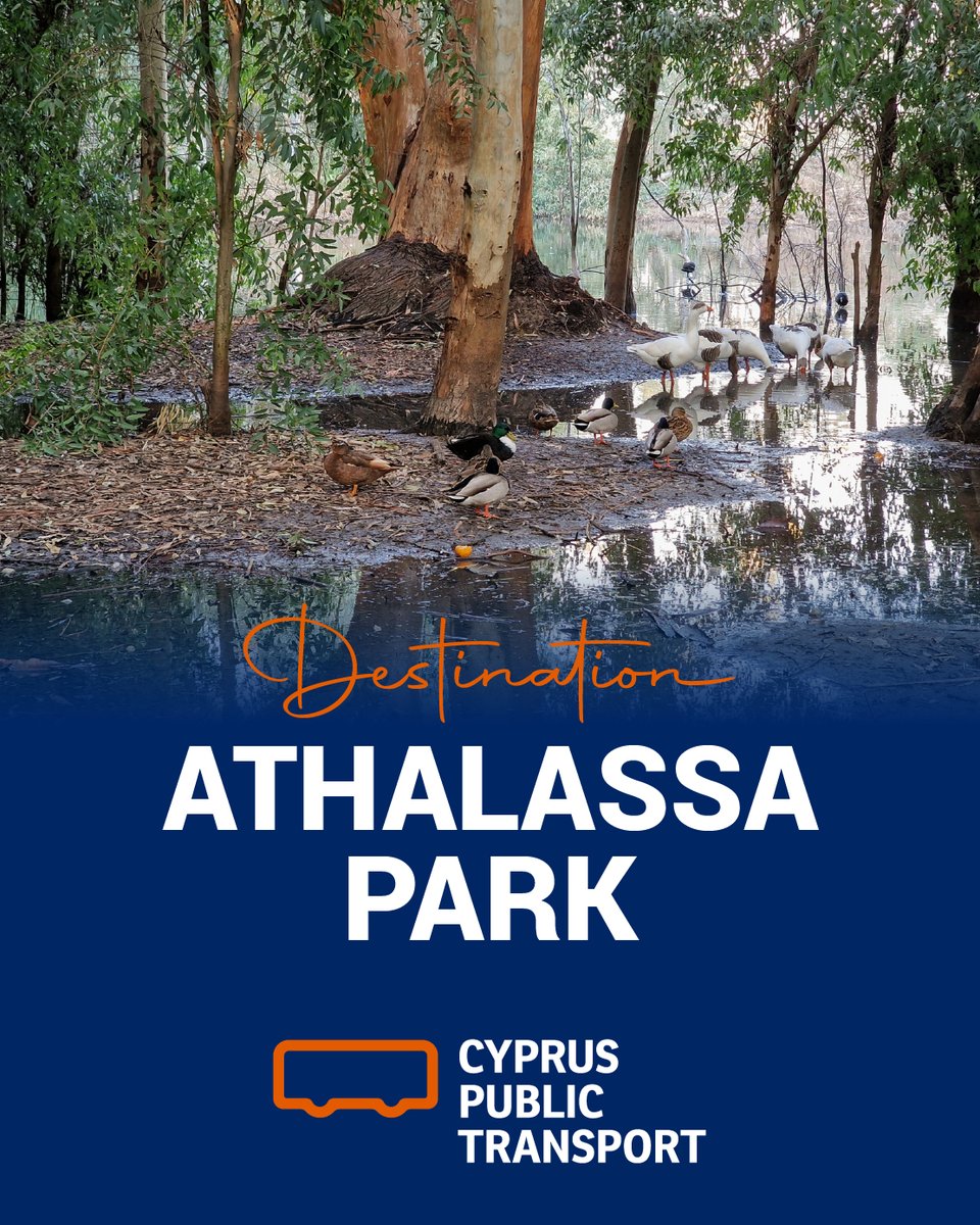 Cyprus Public Transport tweet media