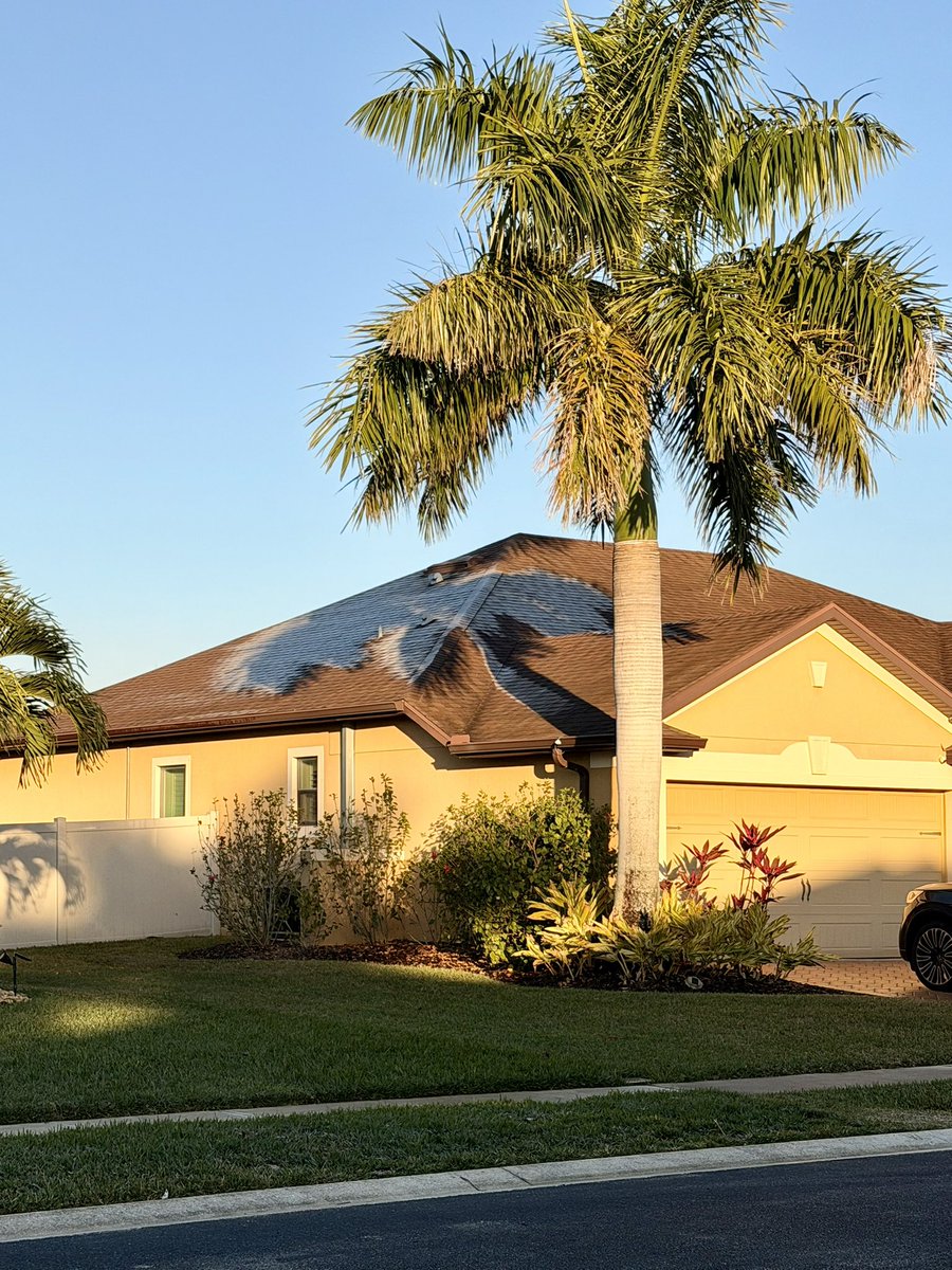 #Florida has its own unique way of dealing with the cold. No other state makes roof-ice shaped as a palm tree..