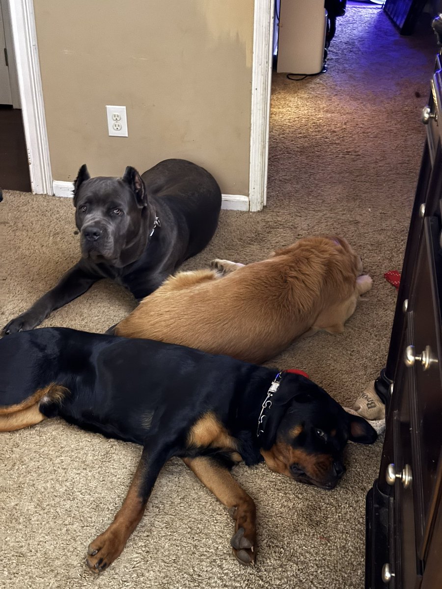 Renee Slaughter tweet media