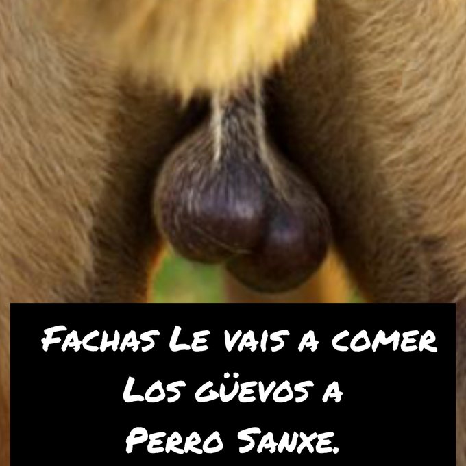 VillaNebeda's tweet photo. @pablotaboada0 https://t.co/McyN5rnpVY