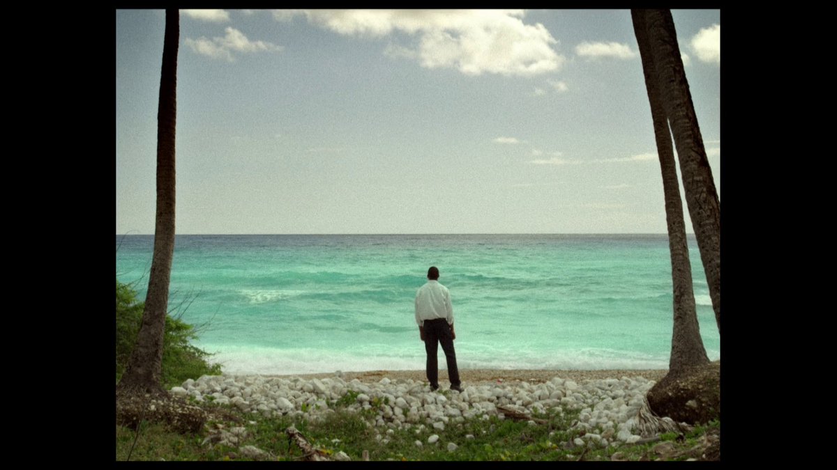 alejandro tweet media