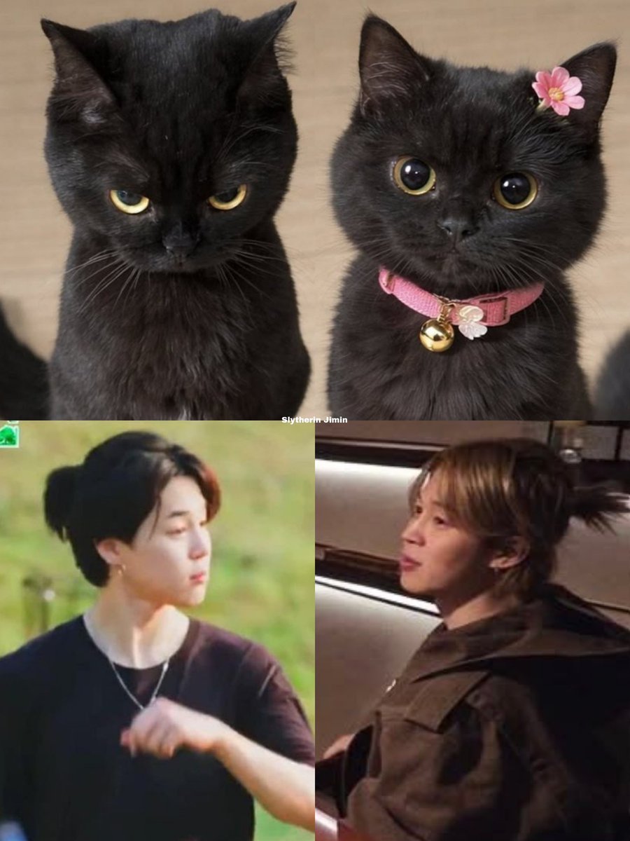 jimin_lil_devil's tweet image. JIMINNNNNNNN 😭😭😭😭😭😭😭😭😭😭😭🤏🏻🤏🏻🤏🏻🤏🏻🤏🏻🤏🏻🤏🏻