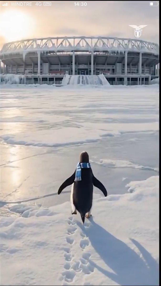 La campagna Social con il pinguino protagonista è il pretesto.. 
ma quello che conta è il messaggio..

So…. 

“BE INDIFFERENT” 🦅💙