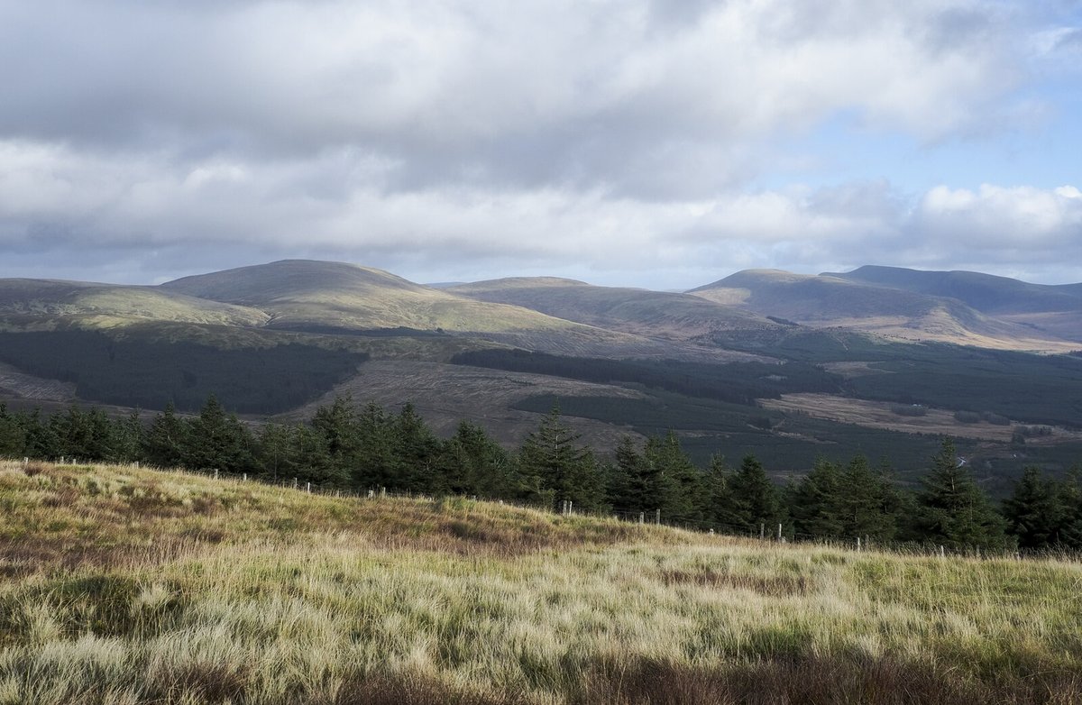 Galactic Tick Day is an awareness and education day that celebrates the movement of the Solar System around the Milky Way galaxy.
