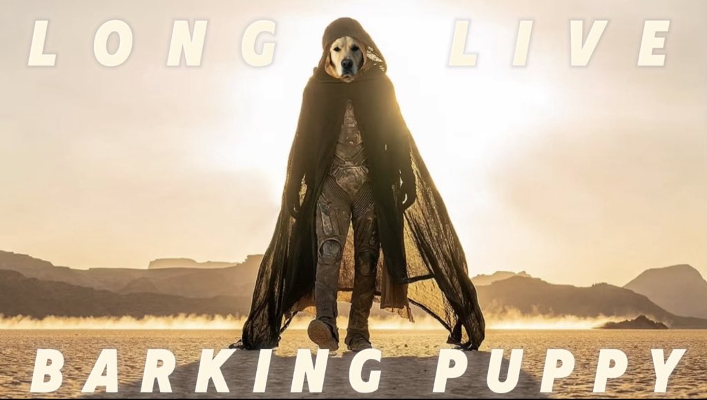 solsteezyy's tweet image. Do you like the @BPuppy80020 memes @elonmusk?