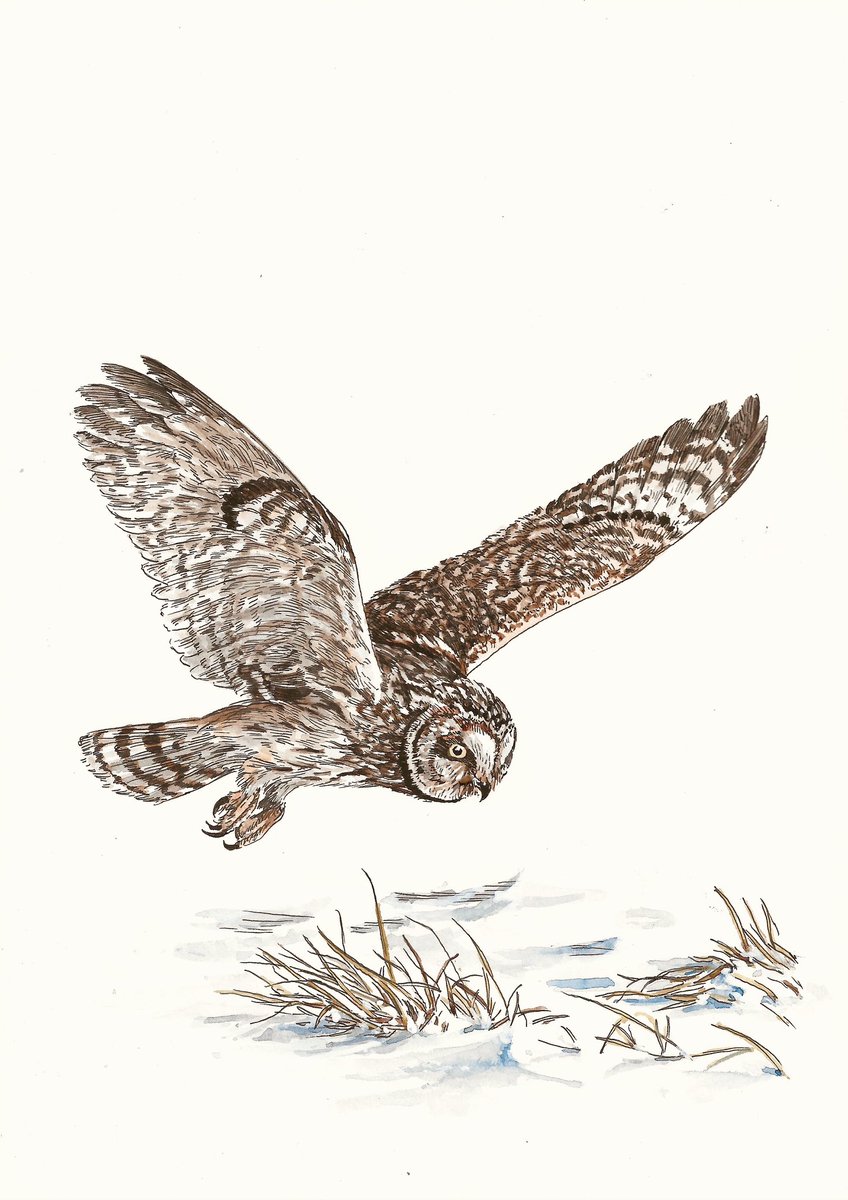 Bas Geeraets 🦉 tweet media