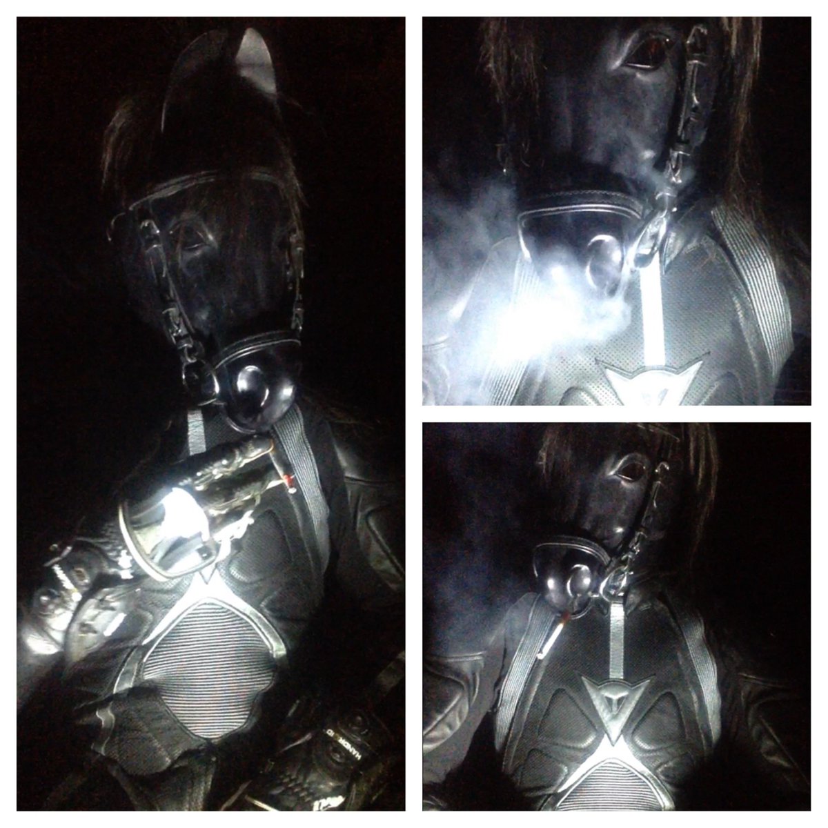 LEATHER~RUBBER~STALLION tweet media