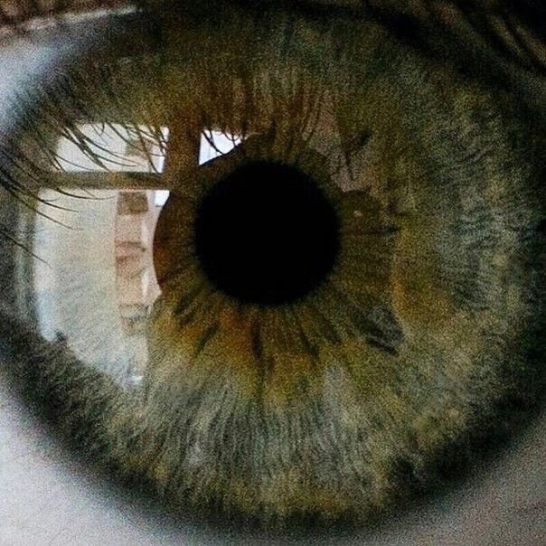 Gatsby_chal's tweet photo. 𝐛𝐞𝐚𝐮𝐭𝐲  
           ̶ ̶o̶r̶ ̶  
               𝙙𝙚𝙨𝙩𝙧𝙪𝙘_𝙩𝙞𝙤n 

#𝐞𝐲𝐞𝐜𝐨𝐧𝐭𝐚𝐜𝐭   ⬇︎👁
                        — ⬇︎↖︎
                     #𝘴𝘪𝘭𝘦𝘯𝘤𝘦 https://t.co/G22yUeRF6Q