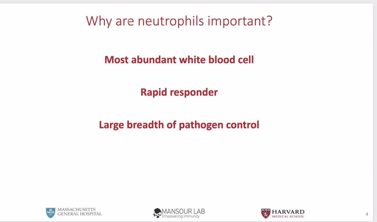 Leonardo V. Riella tweet media