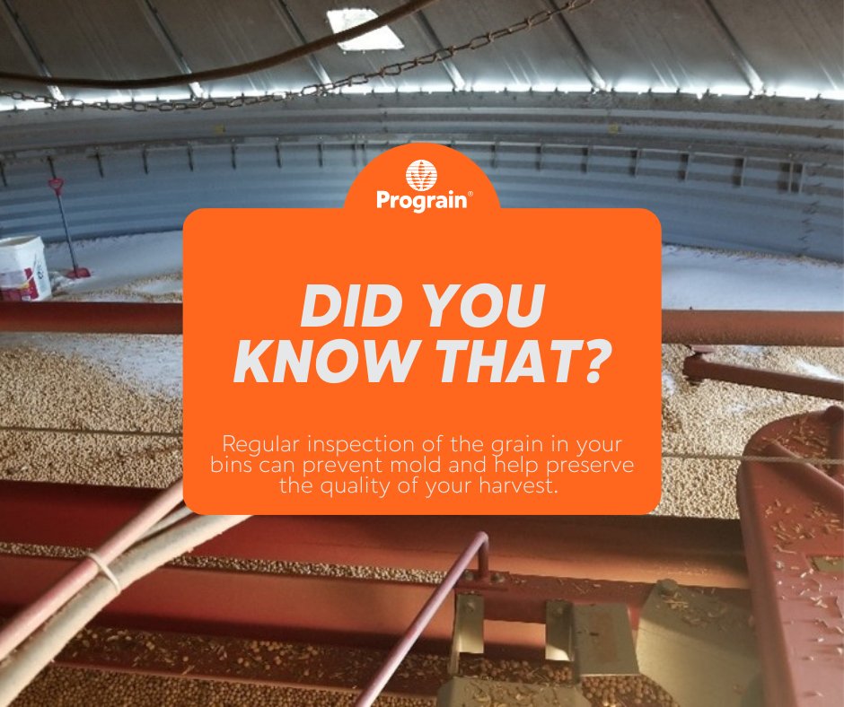 Prograin tweet media