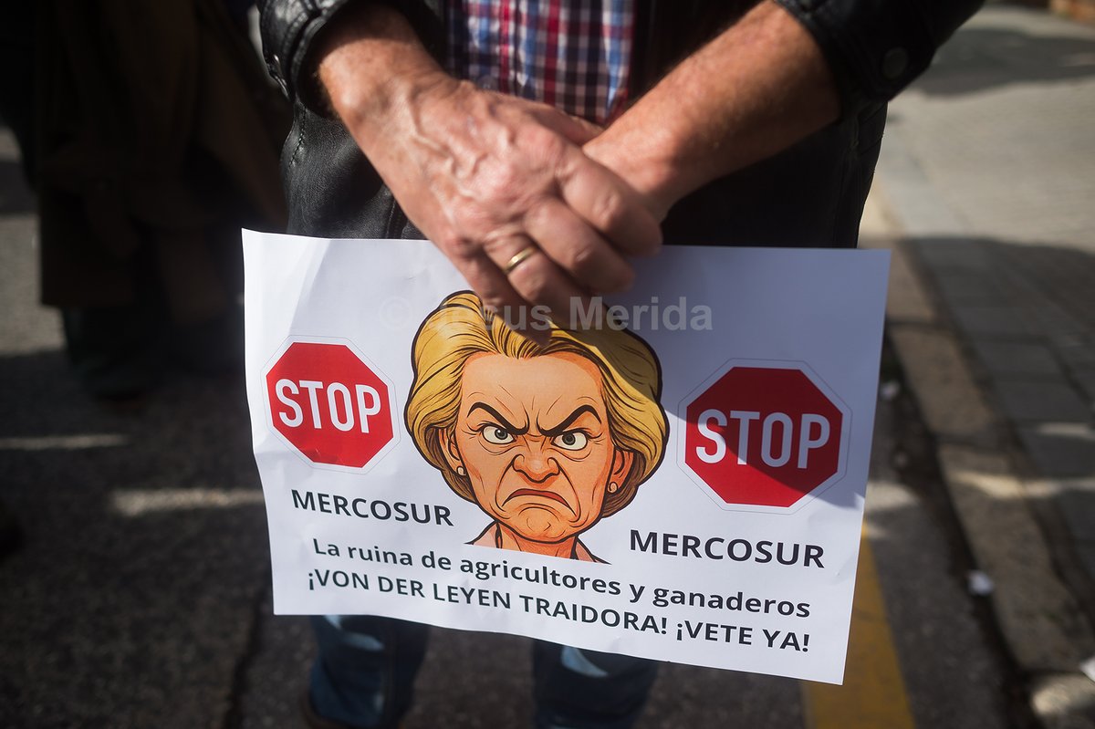 Jesús Mérida 📸 tweet media