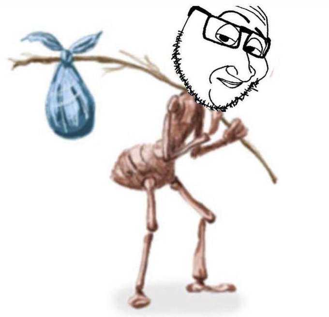 Basierter Brudi tweet media