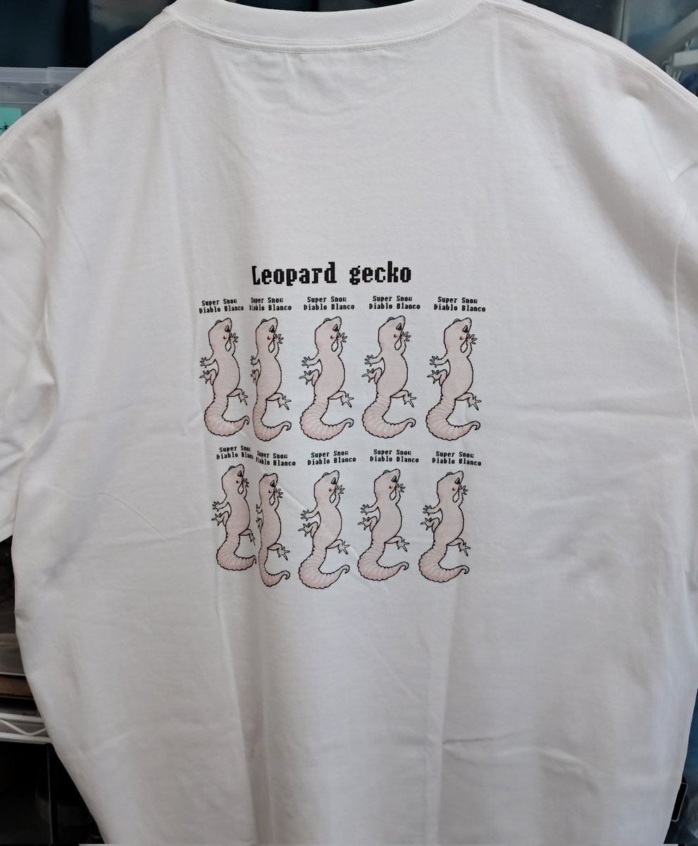 イラストオーダー✩﻿AYA 🦎Aya🦎 #有償依頼受付中 (@Aya88732573) / Posts / X