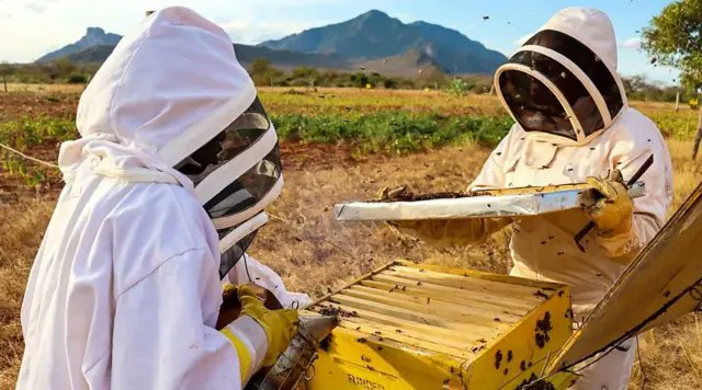SirenesFR's tweet image. 🔴 FLASH | 80 000 euros ont été votés pour financer 50 ruches au Togo et la formation de huit professeurs de karaté à Madagascar. 🥋🐝

C'est la dernière décision de la mandature Hidalgo. (FdSouche/CNEWS)