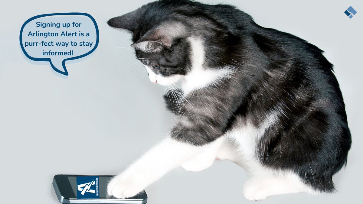 ReadyArlington's tweet image. Meow! 🐱 This kitten is informed about all important weather, traffic, and emergency-related updates... are you?

Sign up for Arlington Alert to be the coolest cat in town! 🐈 

Arlingtonalert.com

#ArlingtonAlert #StayInformed