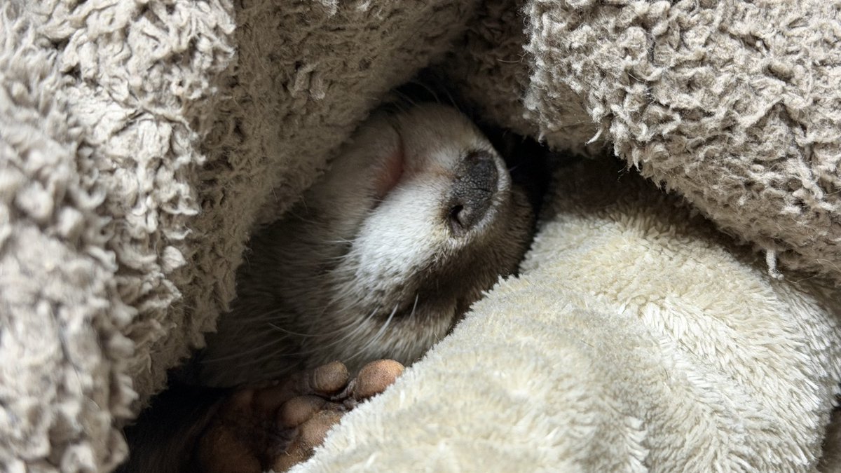 aty (@aty06203834) / Posts / X