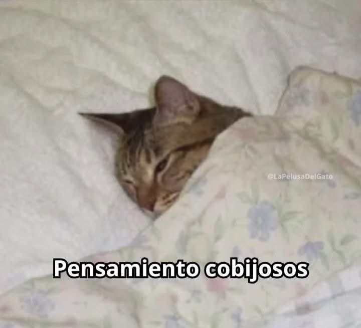 Guarromantico_'s tweet photo. Yo, todo el día con este frío. https://t.co/IRHNOrSBCQ