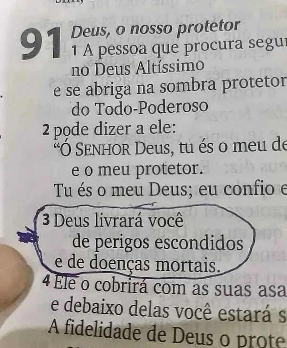 siigacristovive's tweet image. Creia