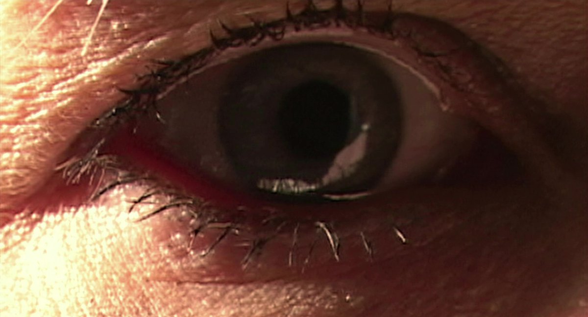 FilmFrame tweet media