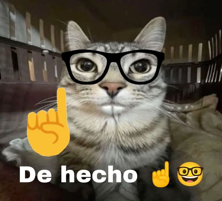 patrii🌪️ tweet media