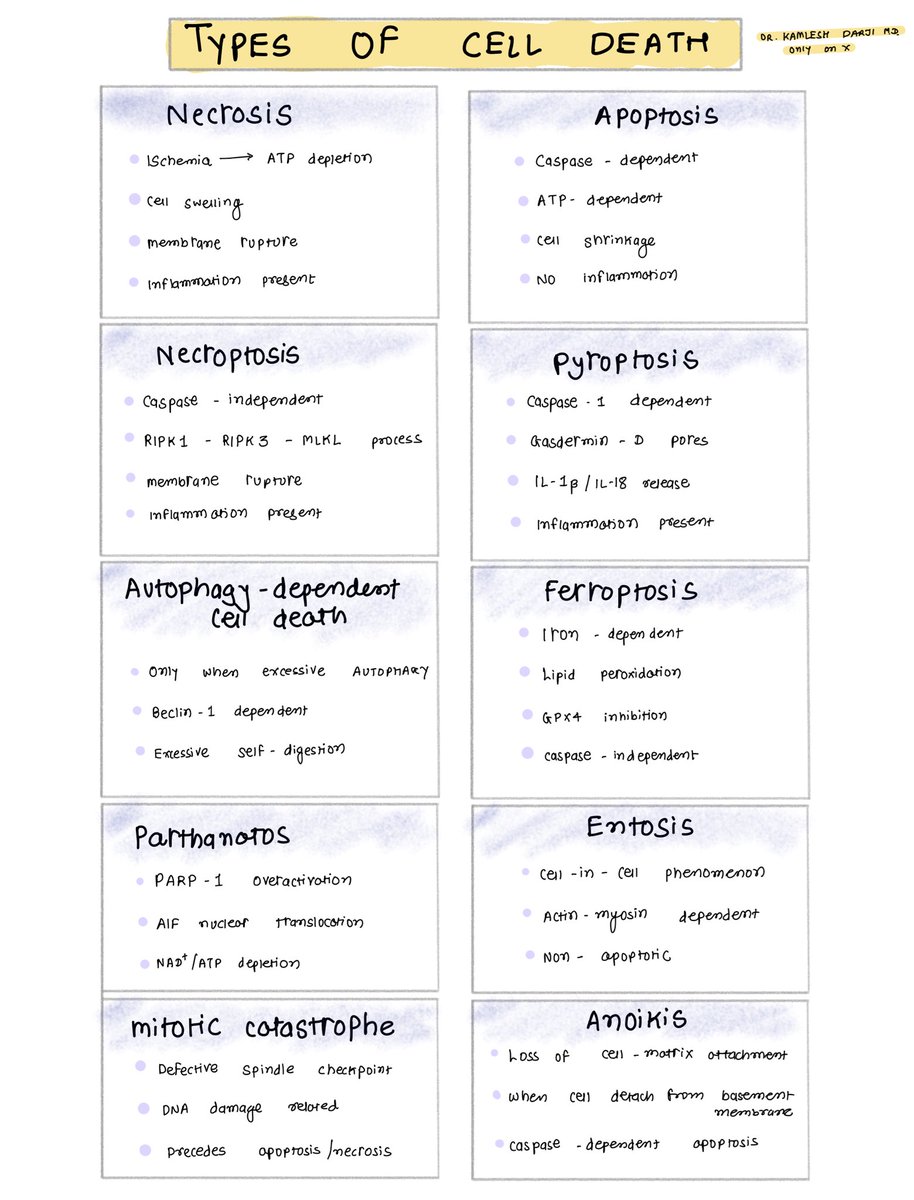 Dr Kamlesh Darji tweet media