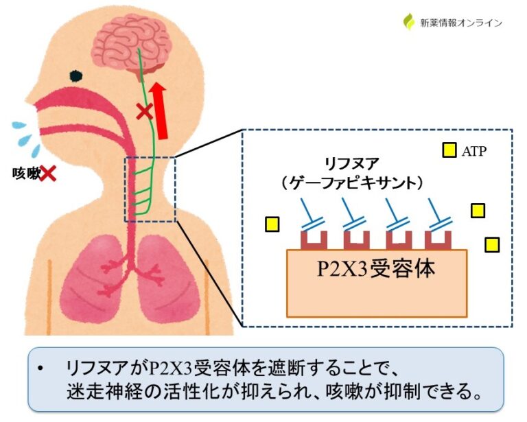 ぱすめど!! 薬剤師国家試験&CBT対策室 tweet media