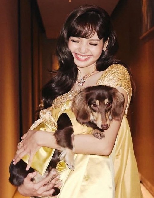 LSM_film's tweet image. It's literally them