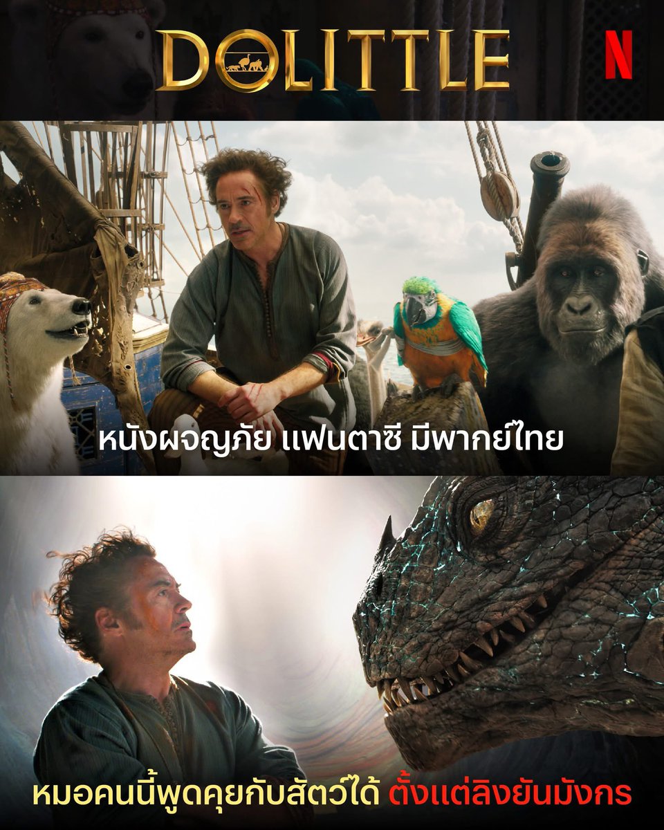 mymoonachi's tweet photo. 🤘🏻🌟 #ชิแนะ #Dolittle
เมื่อความสามารถที่วิเศษที่สุด กลับกลายเป็นความเจ็บปวดที่สุด! 🌊💔 พบกับ 'ดร.ดูลิตเติ้ล' คุณหมออัจฉริยะที่คุยกับสัตว์รู้เรื่อง แต่กลับเลือกขังตัวเองในคฤหาสน์ร้างมานานหลายปี เพราะหัวใจสลายจากการสูญเสียภรรยาไปในพายุขณะออกตามหาเกาะในตำนาน!
แต่ความสงบต้องพังลง‼️ เมื่อพระราชินีถูกวางยาพิษ และทางรอดเดียวคือผลไม้จาก 'เกาะอีเดน' ซึ่งเป็นเกาะเดียวกับที่พรากชีวิตภรรยาเขาไป... ดูลิตเติ้ลจึงต้องฝืนใจหยิบเข็มทิศเก่าขึ้นมาอีกครั้ง เพื่อเผชิญหน้ากับฝันร้ายกลางมหาสมุทรที่เขาพยายามลืมมาตลอดชีวิต🌊
การเดินทางครั้งนี้ไม่ได้มีแค่หมอ แต่พ่วงมาด้วยกองทัพสัตว์สุดแสบที่แต่ละตัวมีปมไม่แพ้กัน พวกเขาต้องฝ่าด่านราชาโจรสลัดสุดโหด และ 'ผู้เฝ้าเกาะ' ที่ทรงพลังจนไม่เคยมีใครรอดกลับมาได้สักคนเดียว🔥
ปมปริศนาบนเกาะลับแลคืออะไร? สรุปแล้วเกิดอะไรขึ้นกับภรรยาของเขากันแน่? และคุณหมอจะรักษาแผลใจไปพร้อมกับช่วยราชินีได้ทันเวลาไหม? บอกเลยว่างานภาพ CG อลังการระดับ 100 ล้านเหรียญ ดูแล้วใจฟูแถมลุ้นจนนั่งไม่ติด!✨🐾
📺 รับชมการผจญภัยได้ที่ Netflix / iQIYI
#Dolittle #RobertDowneyJr #NetflixTH #หนังดีบอกต่อ #รีวิวหนัง