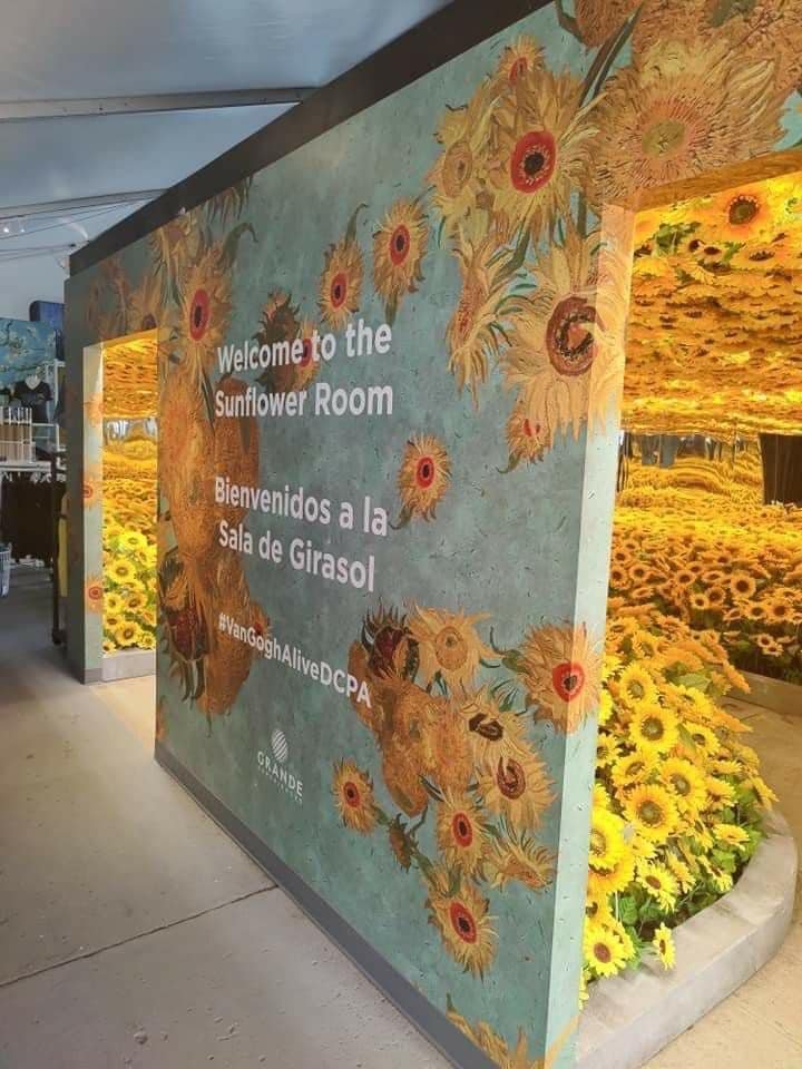 SUNFLOWER 🌻 tweet media