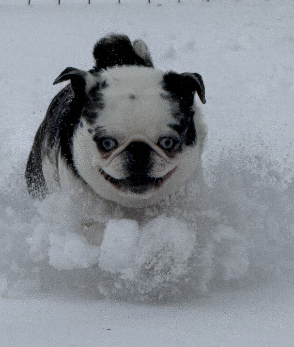 Ian Martinez-Christian tweet media