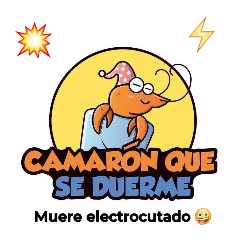 Se lo lleva la corriente o muere electrocutado 🤭