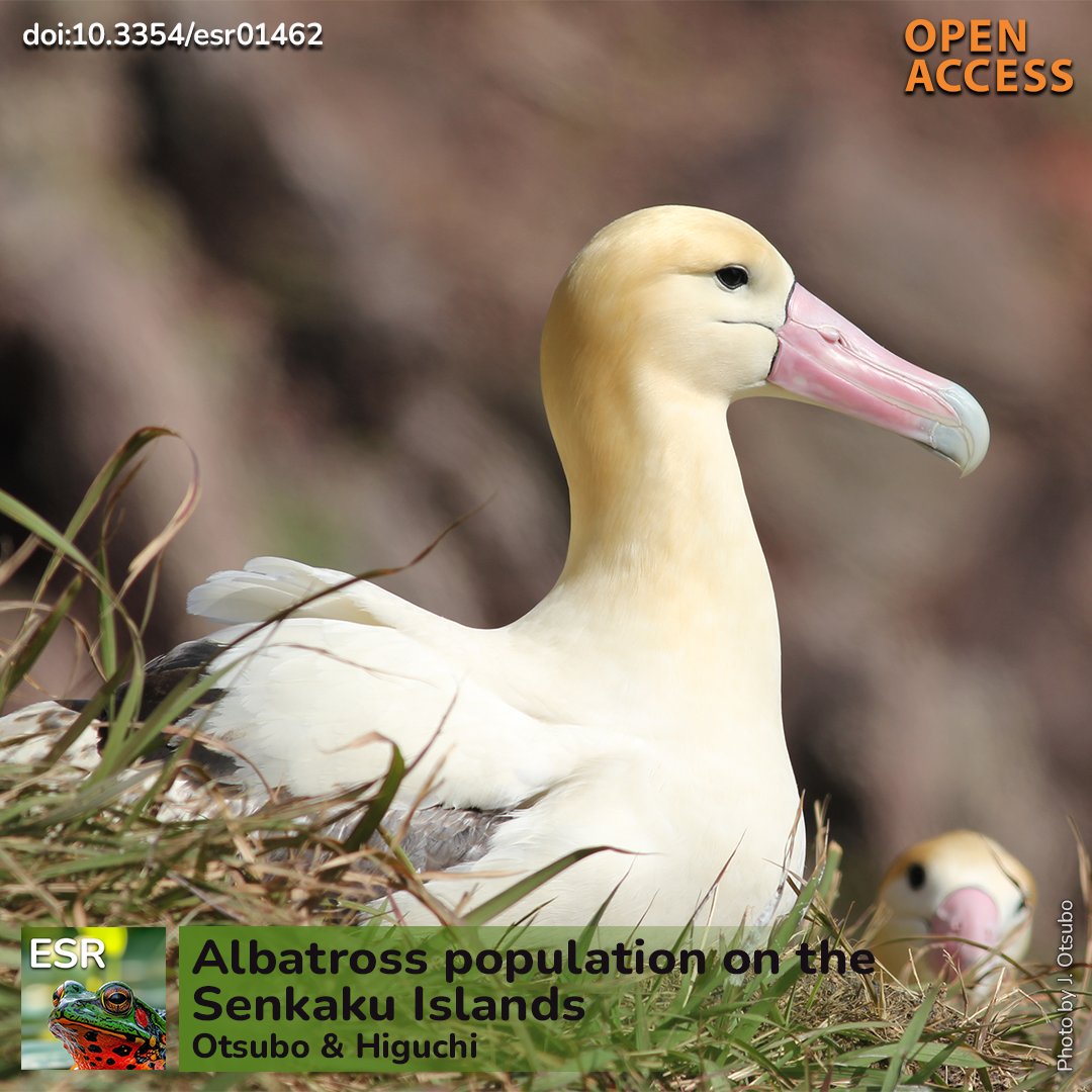 Endangered Species Research tweet media