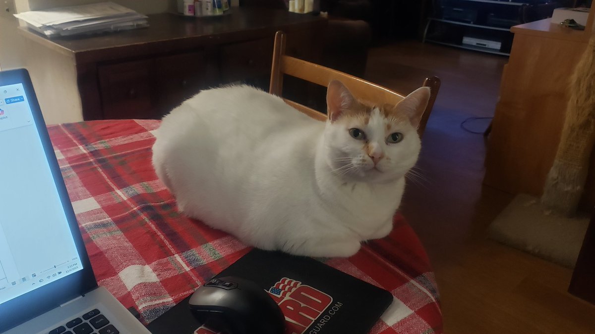 Good morning everyone.